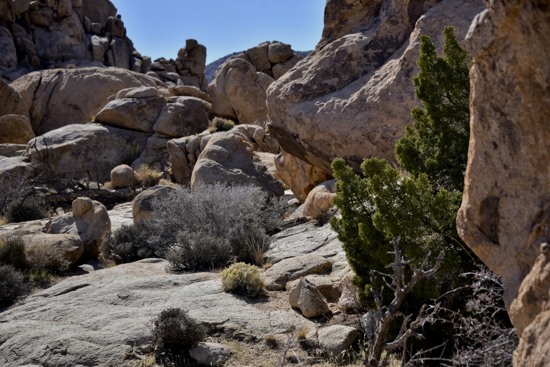 boulders desert background free photo