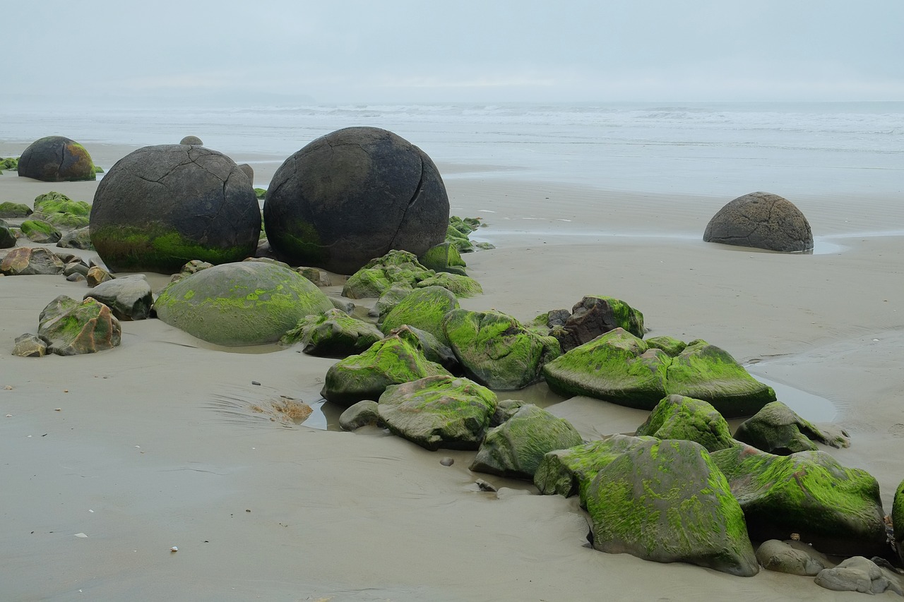 boulders moeraki koekohe beach free photo