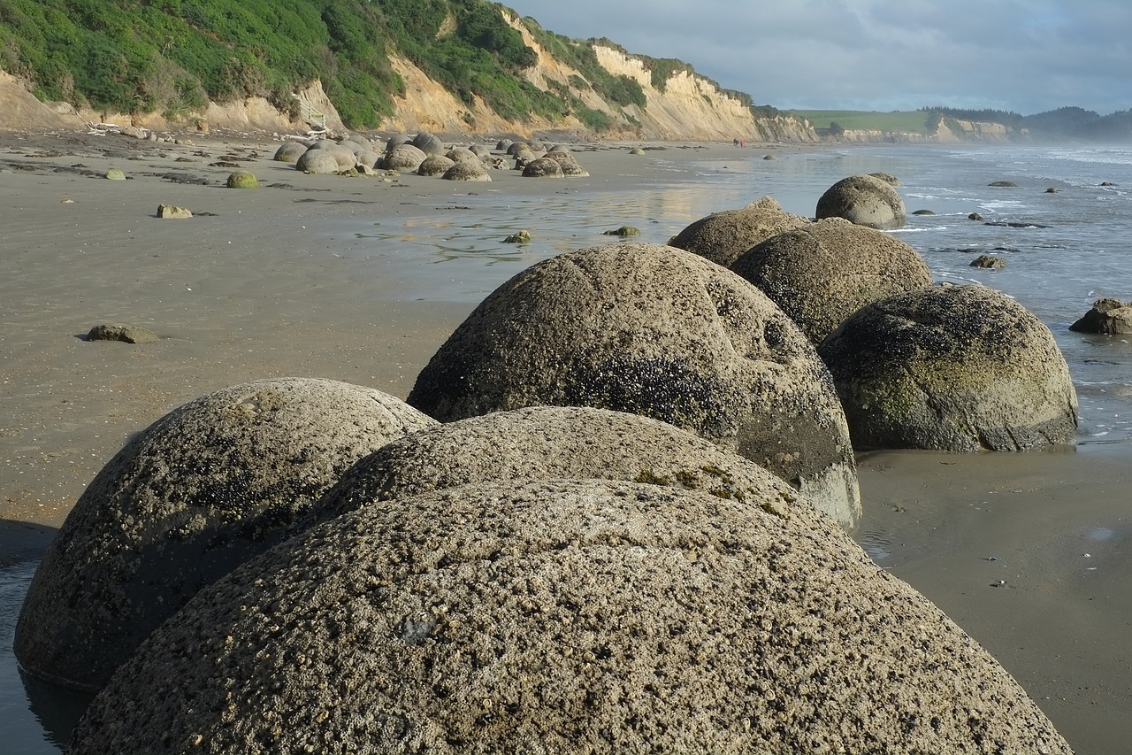 boulders moeraki koekohe beach free photo