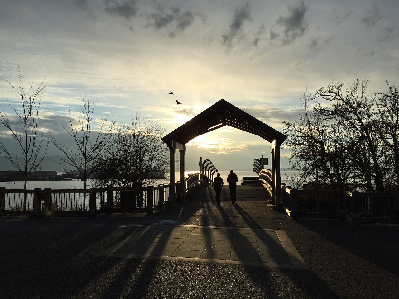 boulevard walk sunset free photo