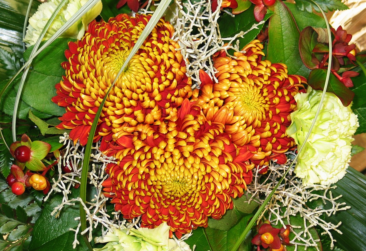 bouquet nursery chrysanthemums free photo