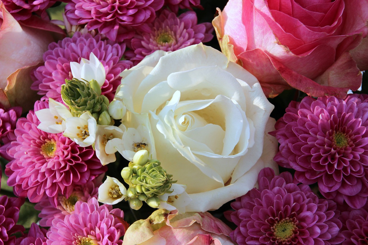 bouquet white rose flowers free photo