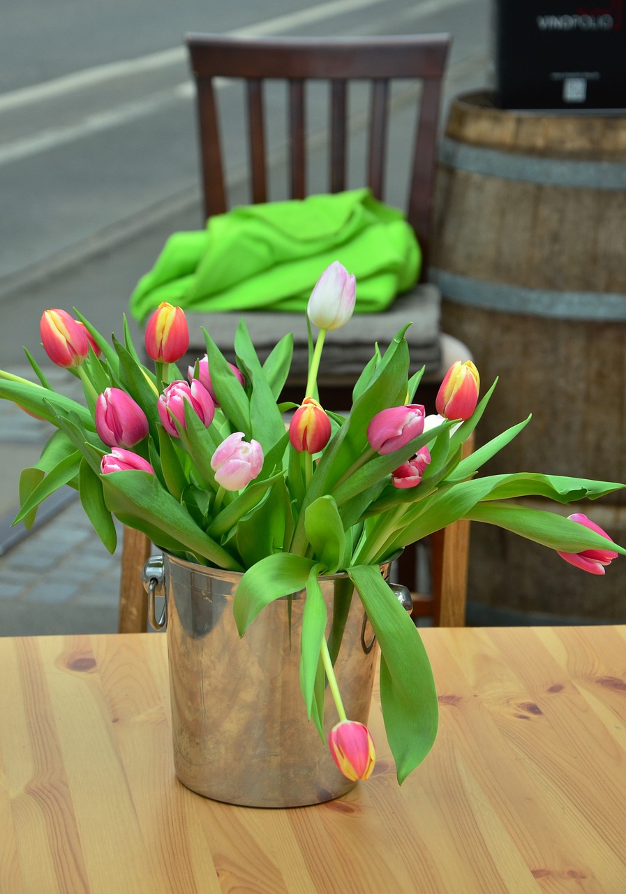 bouquet tulips tulip bouquet free photo