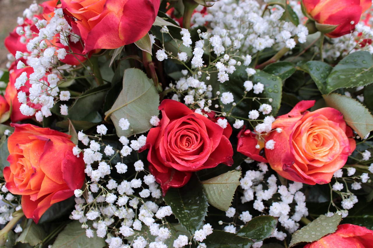 bouquet red roses gypsophila free photo