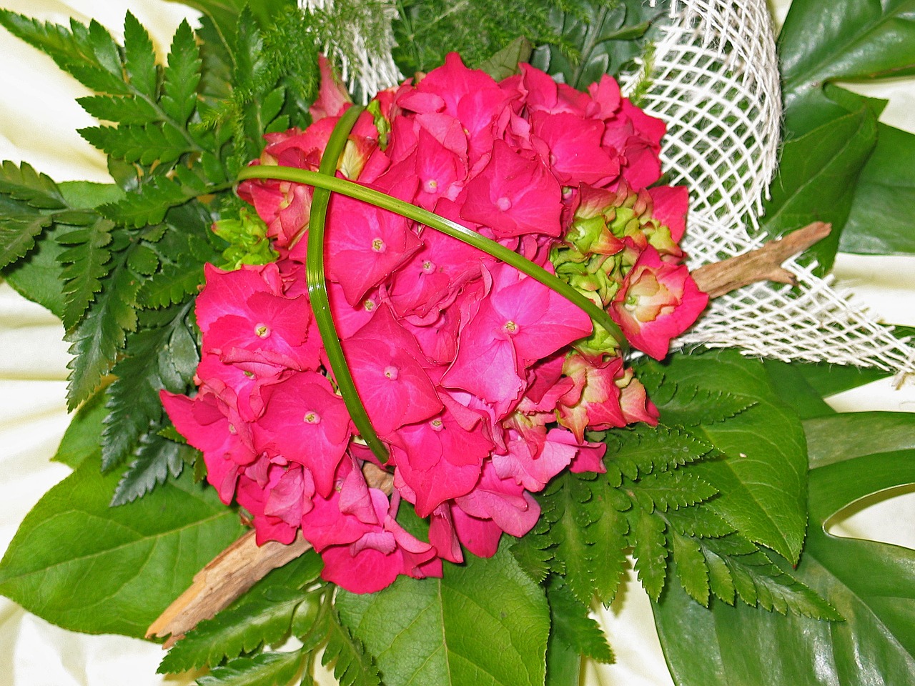 bouquet birthday hydrangea free photo