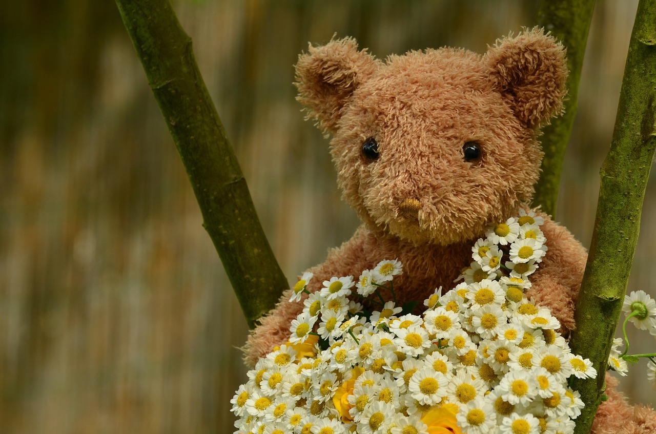 bouquet teddy teddy bear free photo
