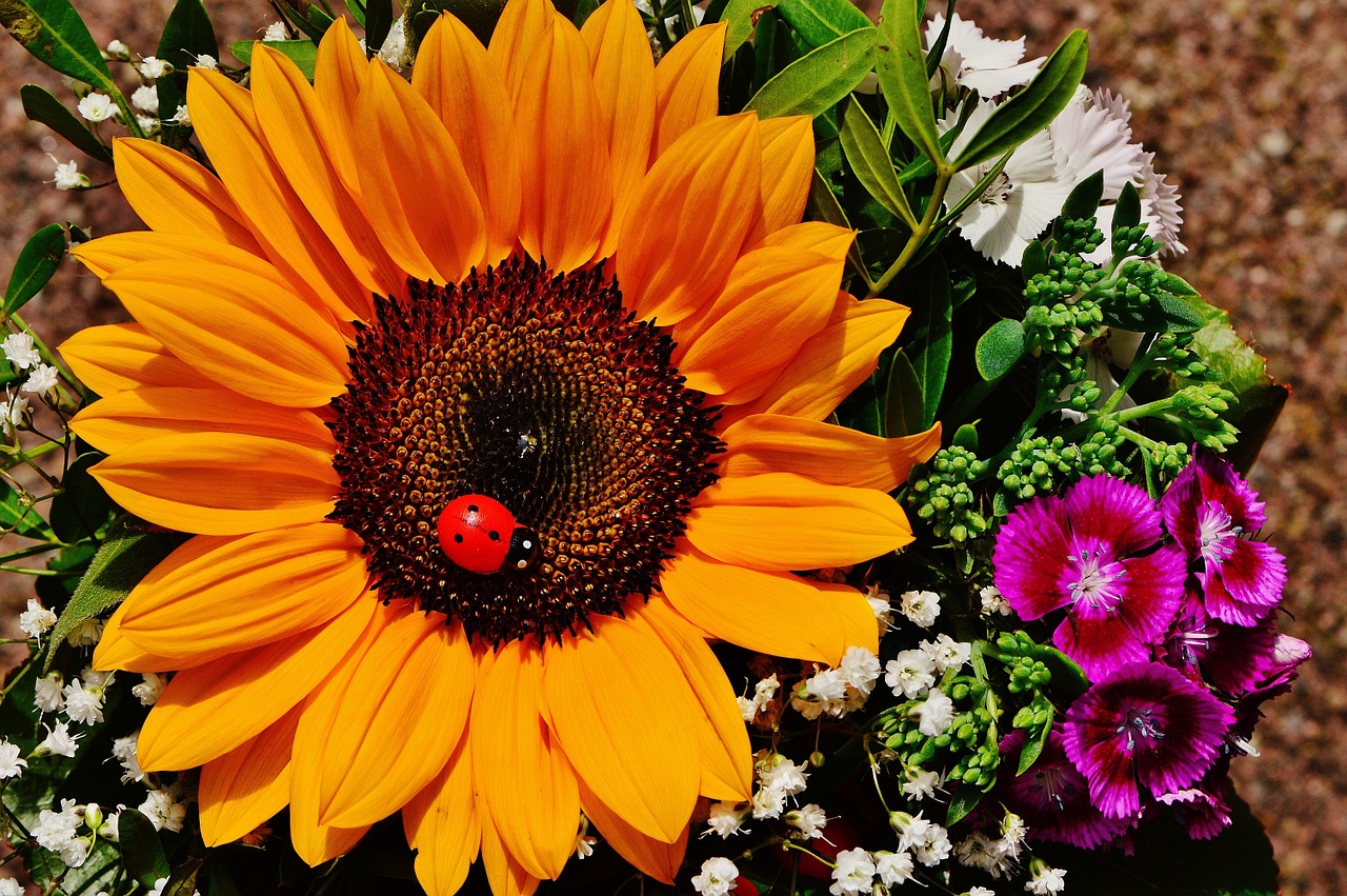 bouquet sun flower summer free photo