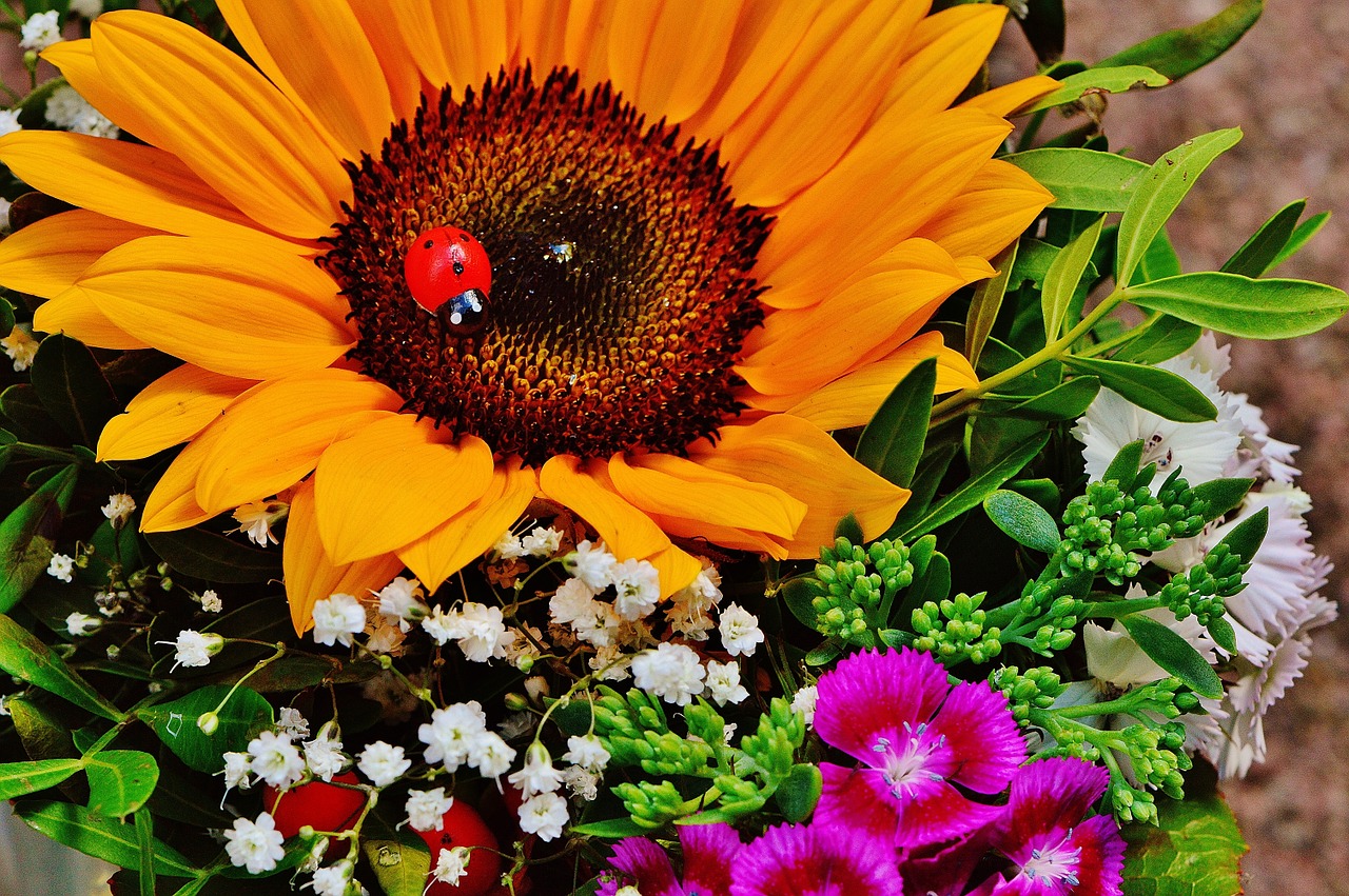 bouquet sun flower summer free photo