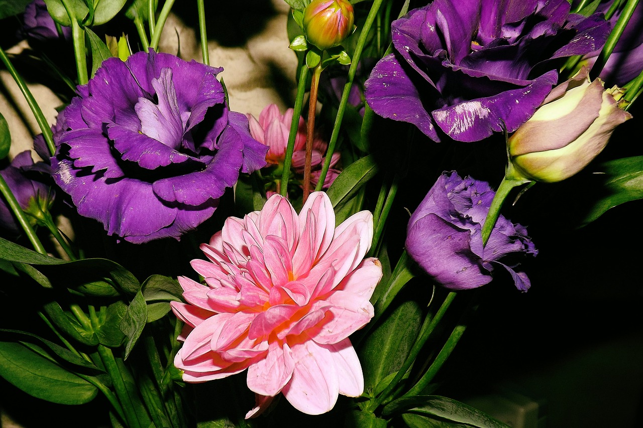 bouquet colorful pink free photo