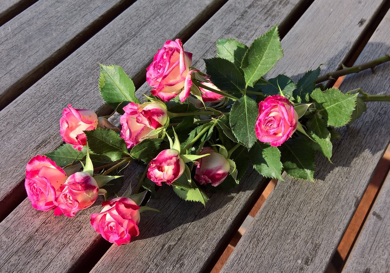 bouquet floribunda old variety free photo