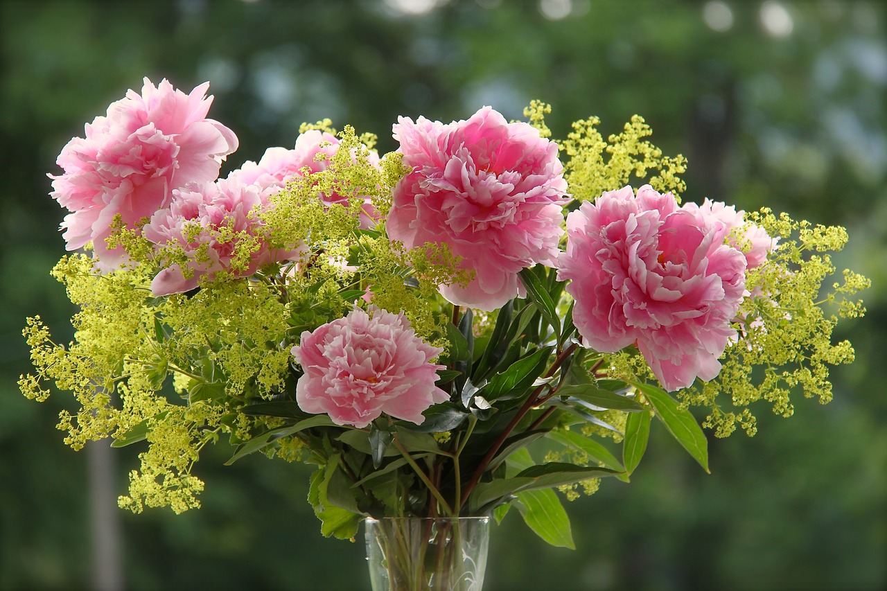 bouquet peonies pink free photo