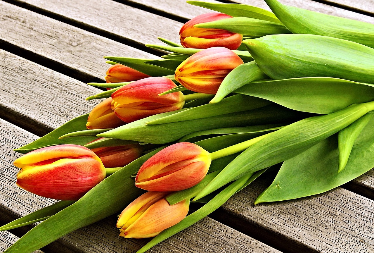 bouquet tulips red yellow free photo