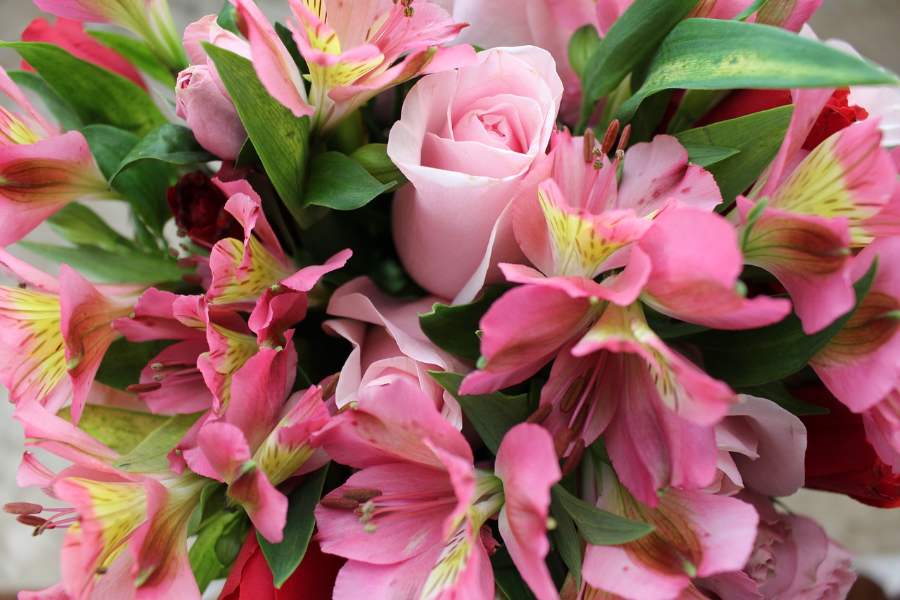 bouquet flowers pink flowers free photo