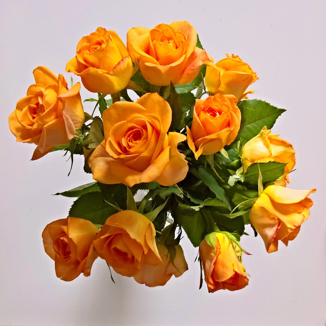 bouquet yellow roses roses free photo