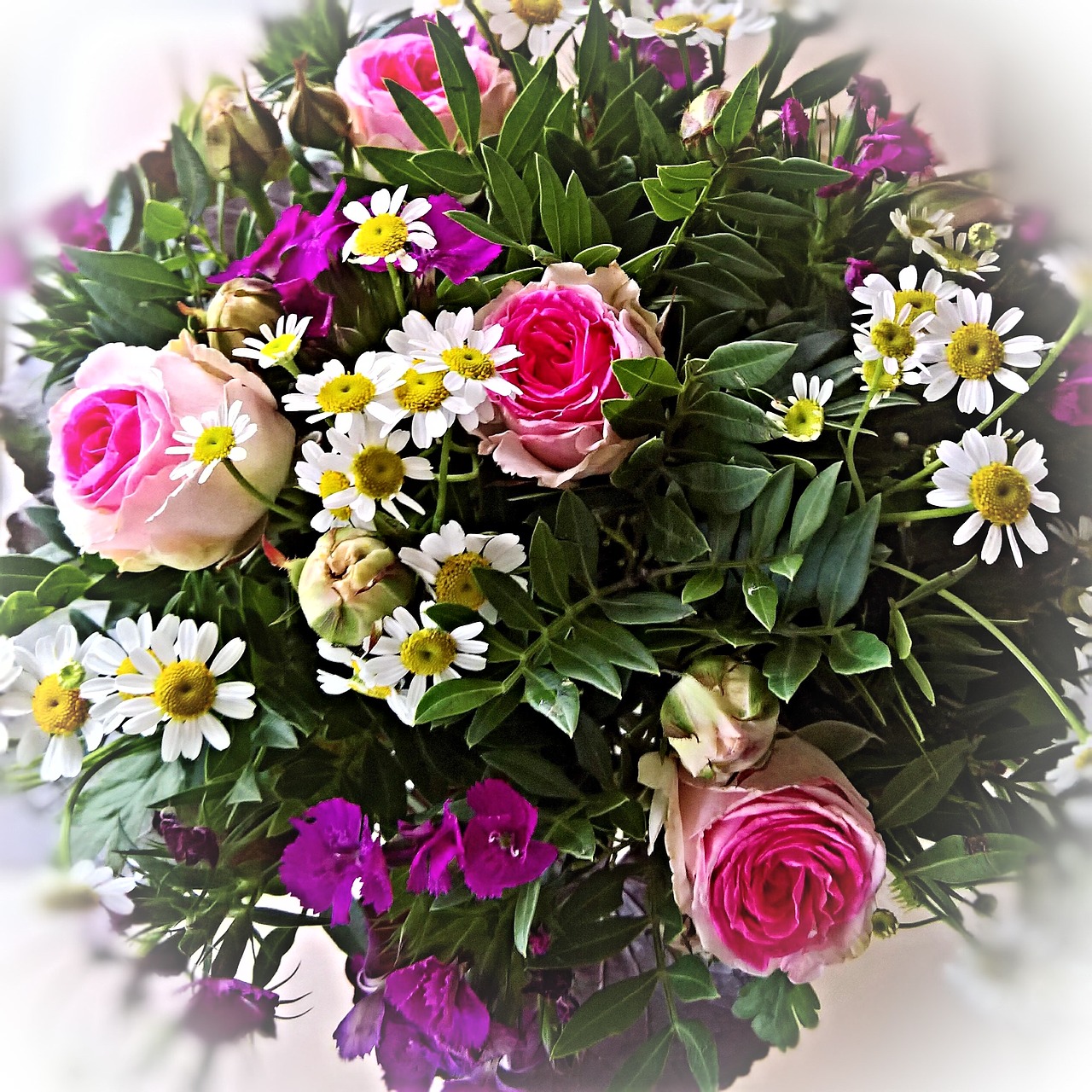 bouquet pink red roses small daisies free photo