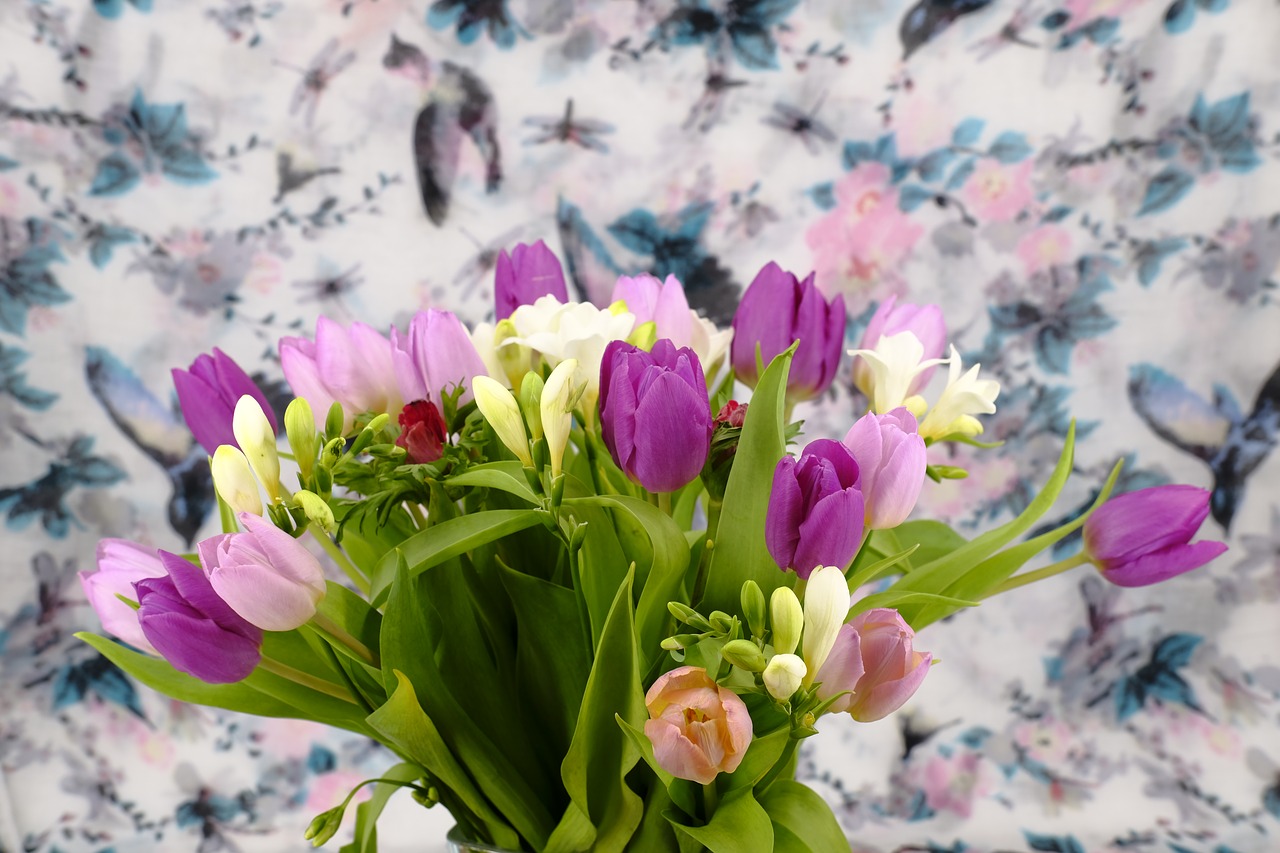 bouquet flowers tulips free photo