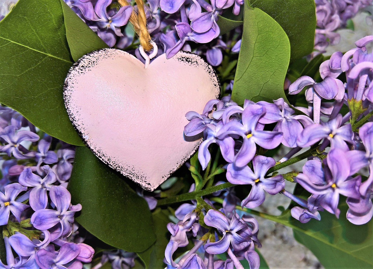 bouquet  lilac bouquet  with heart free photo