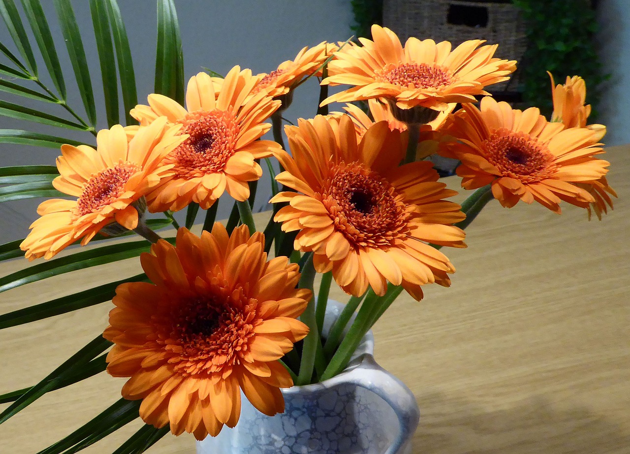 bouquet  gerbera  cut flowers free photo