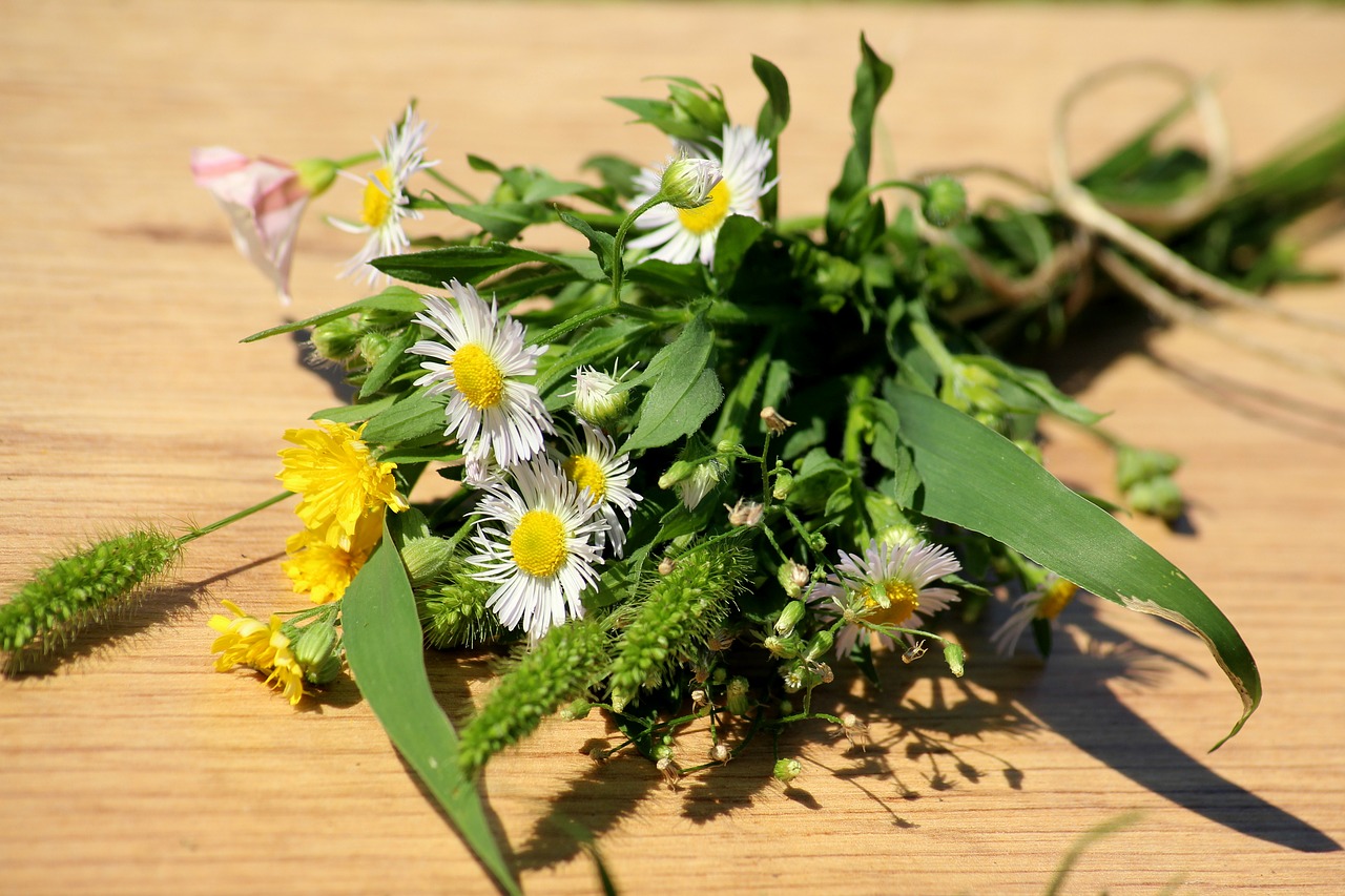 bouquet  a small bunch  wildflowers free photo