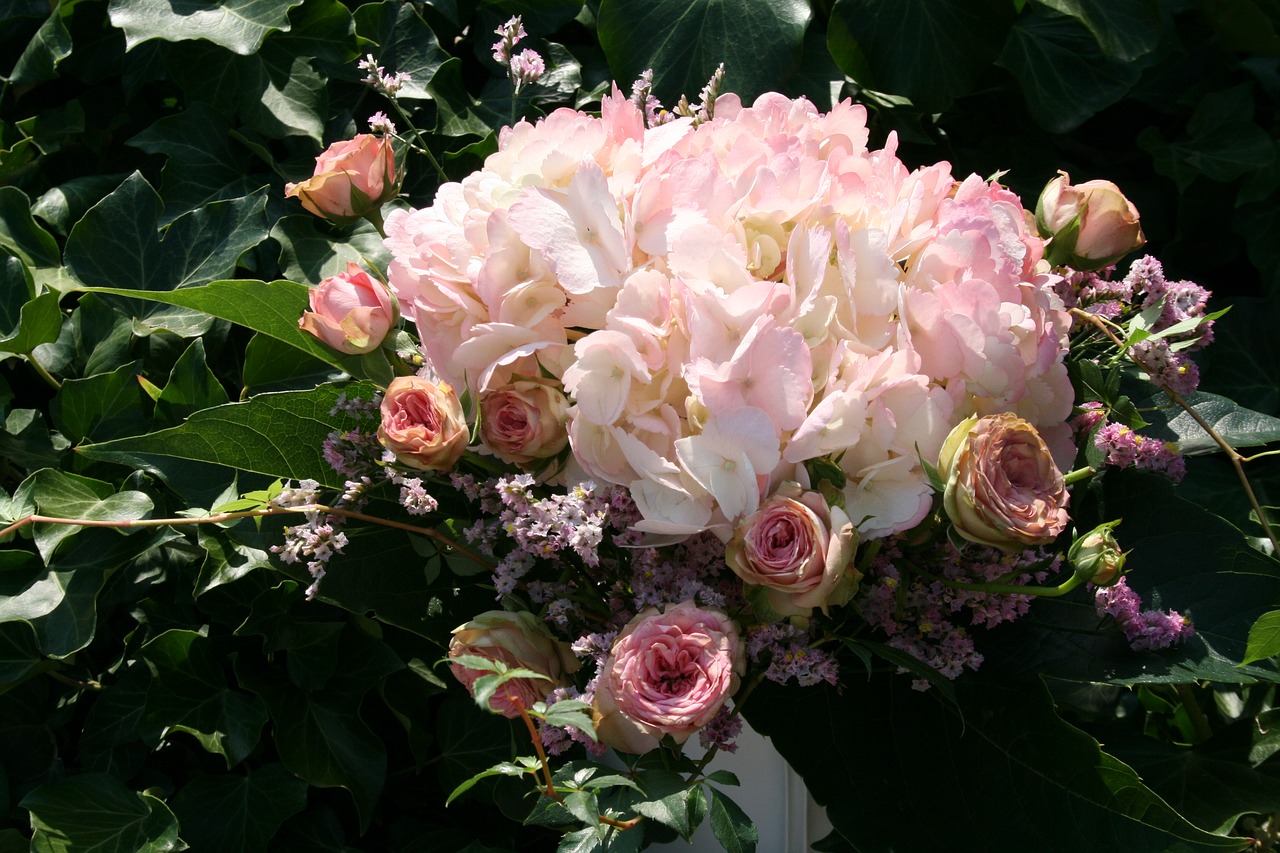 bouquet  hydrangeas  roses free photo