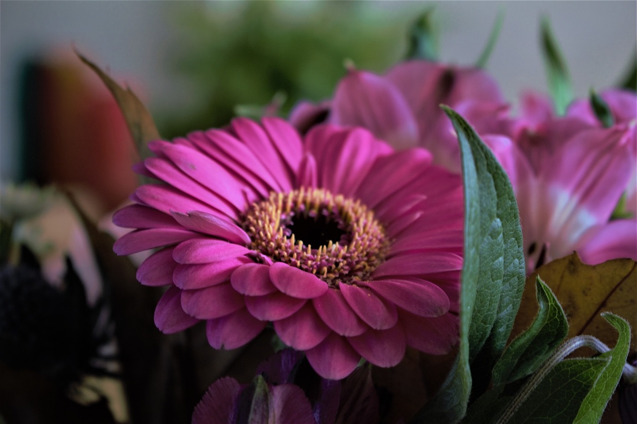 bouquet  pink  blossom free photo