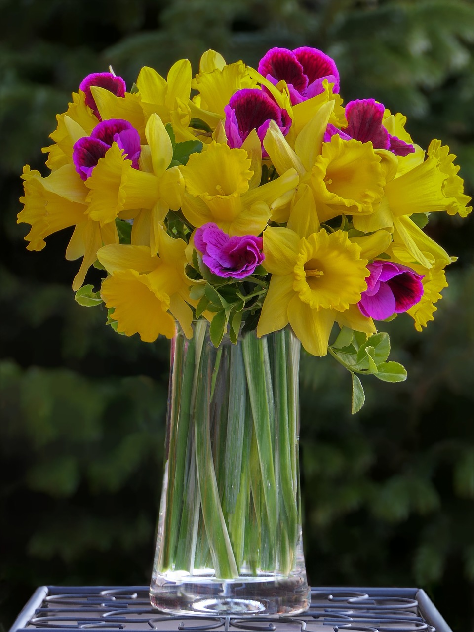 bouquet  daffodils  osterglocken free photo