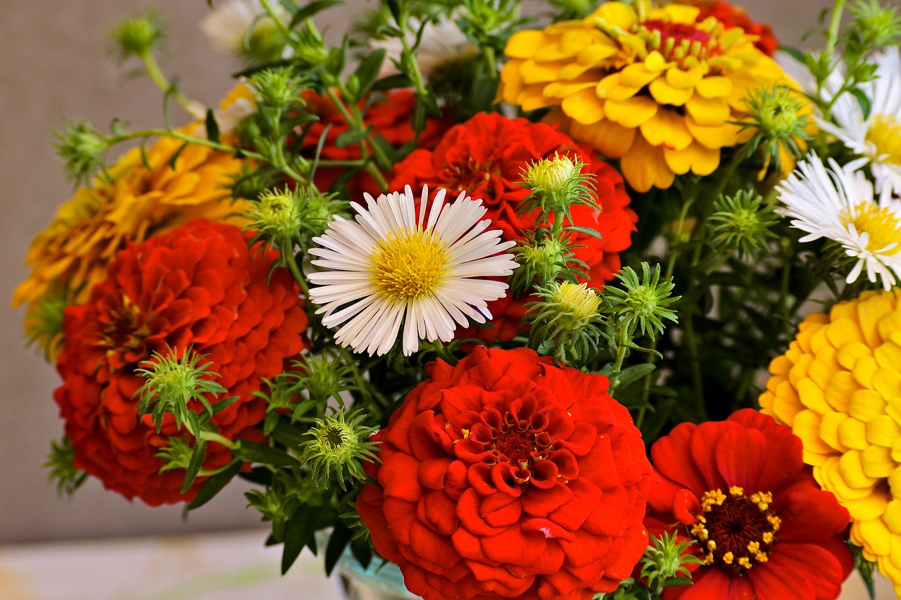 bouquet  colorful  flowers free photo