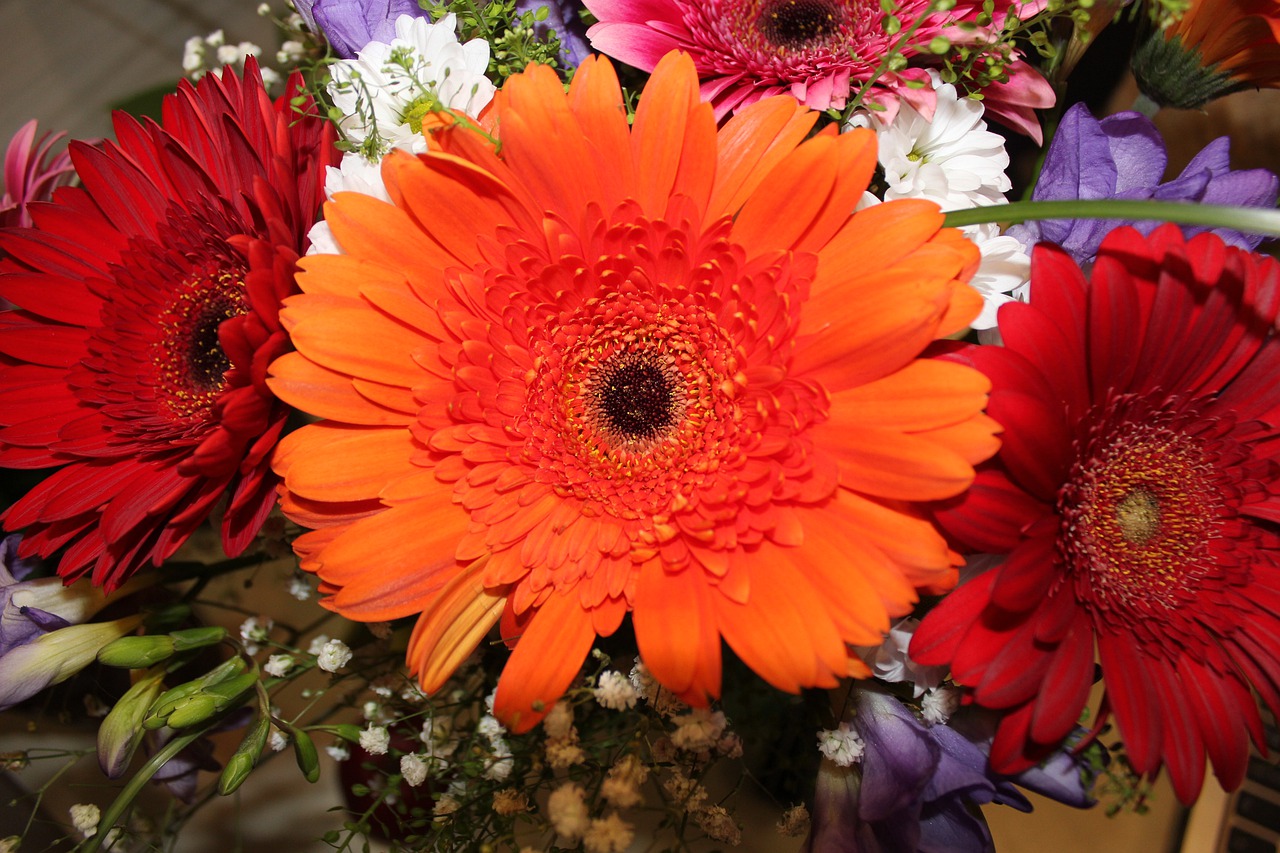 bouquet  chrysanthemums  flowers free photo