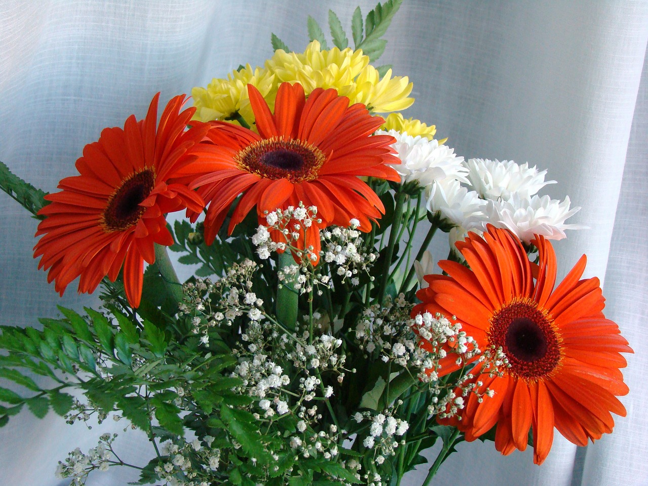 bouquet gerbera chrysanthemum free photo