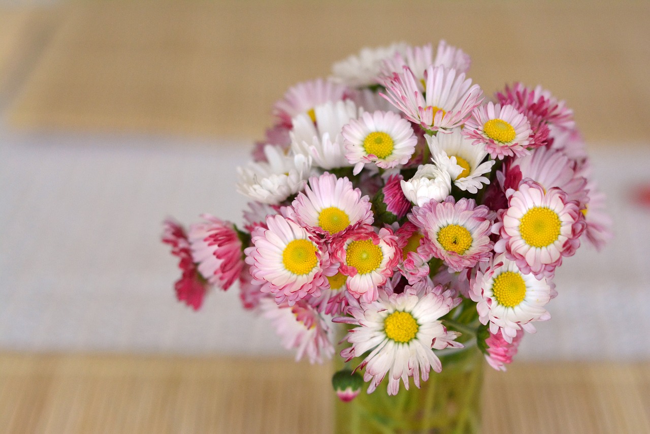 bouquet daisies flowers free photo