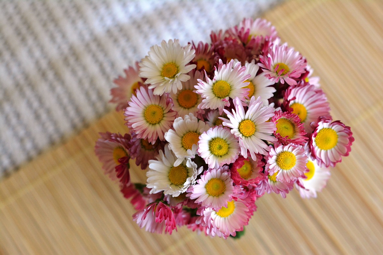 bouquet daisies flowers free photo