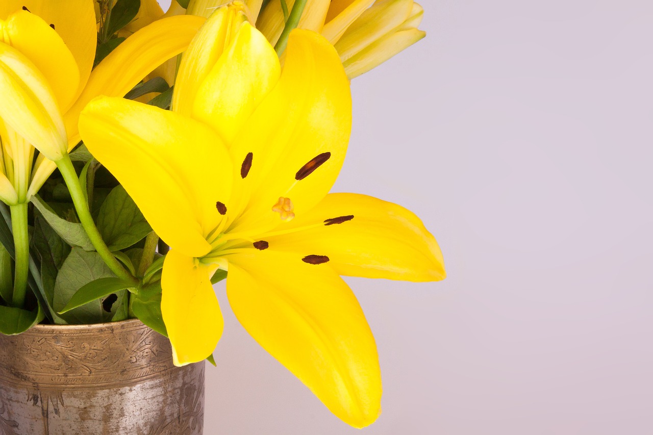 bouquet lily yellow free photo