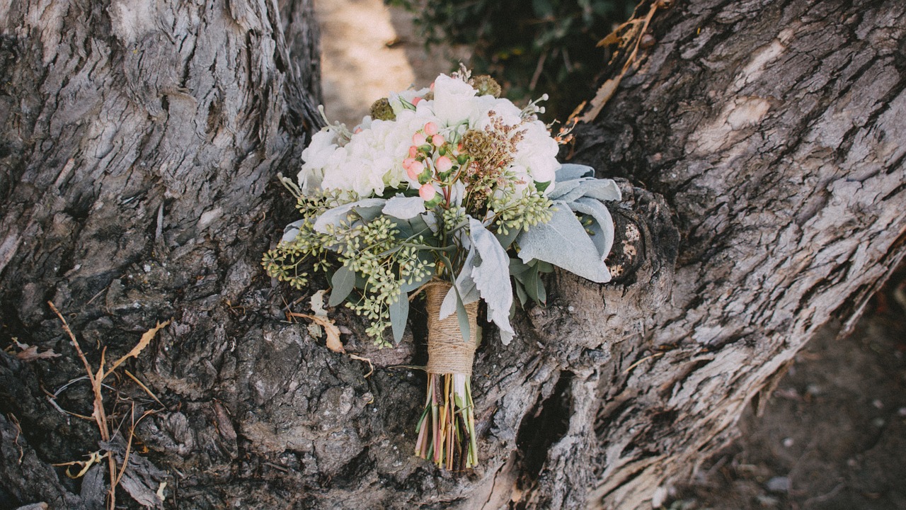 bouquet of flowers tree trunk bouquet free photo