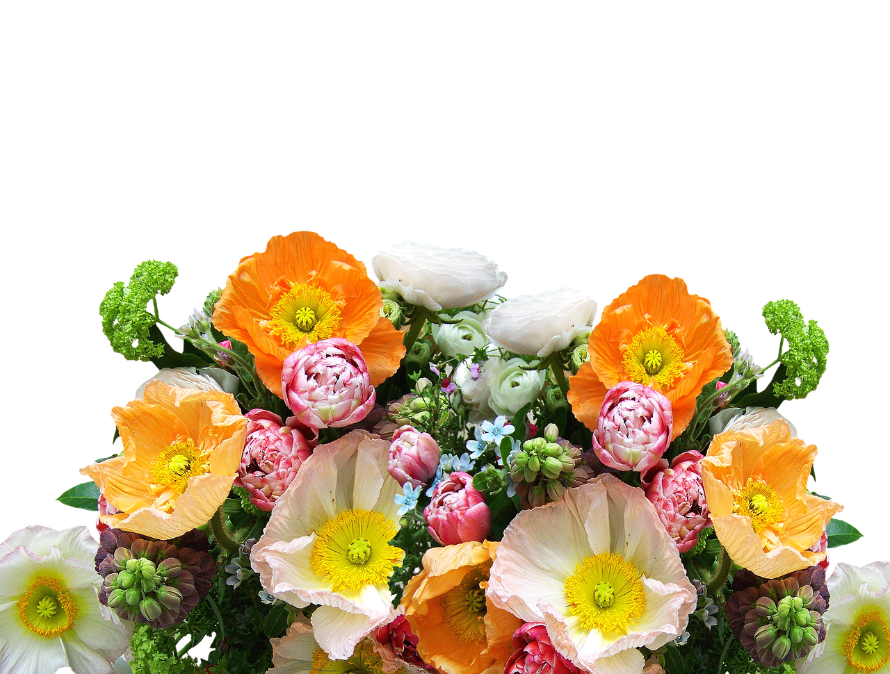 bouquet of flowers cut flowers flowers free photo