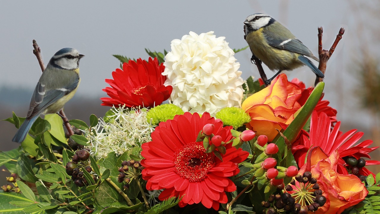 bouquet of flowers with birds blue tits flowers free photo