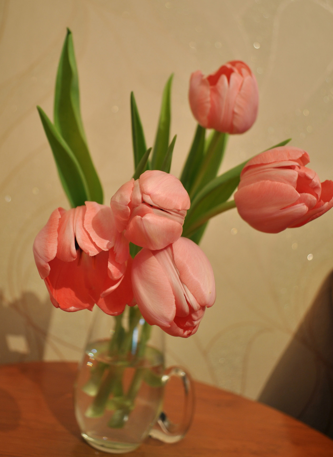 flowers tulips flower free photo