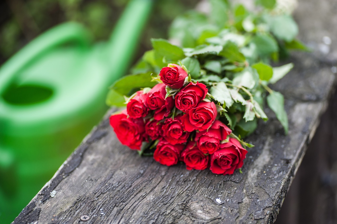 bouquet of roses lying red free photo