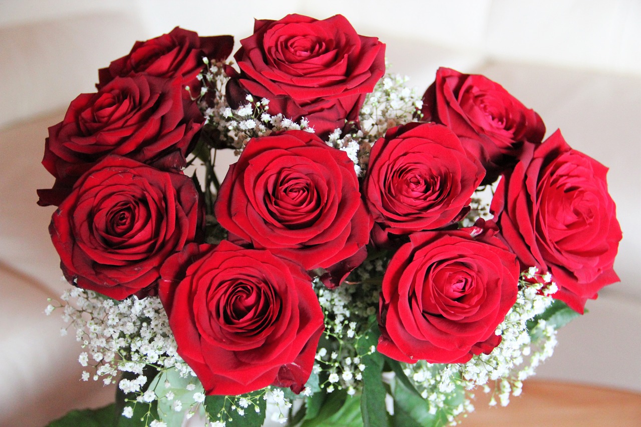 bouquet of roses baccarat red roses free photo