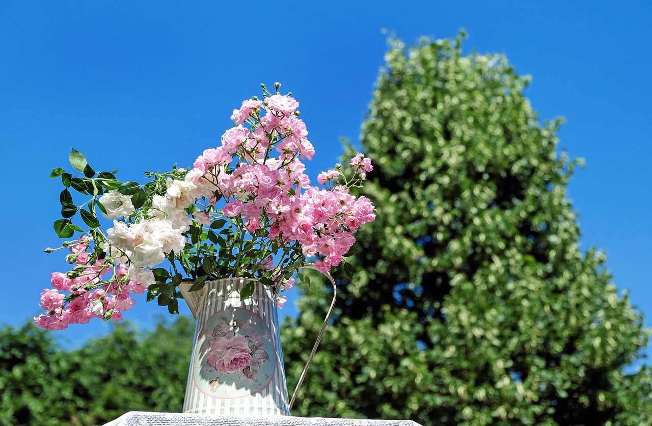 bouquet of roses blossom bloom free photo