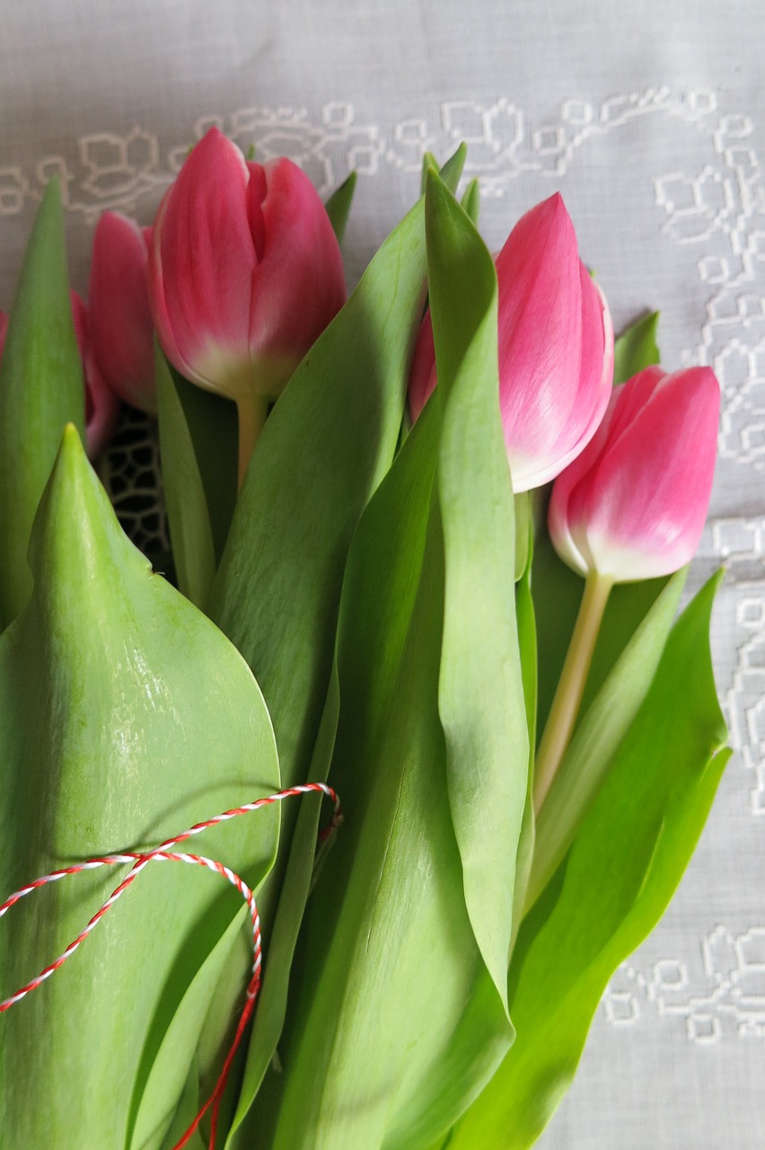 bouquet tulips pictures of flowers mother free photo