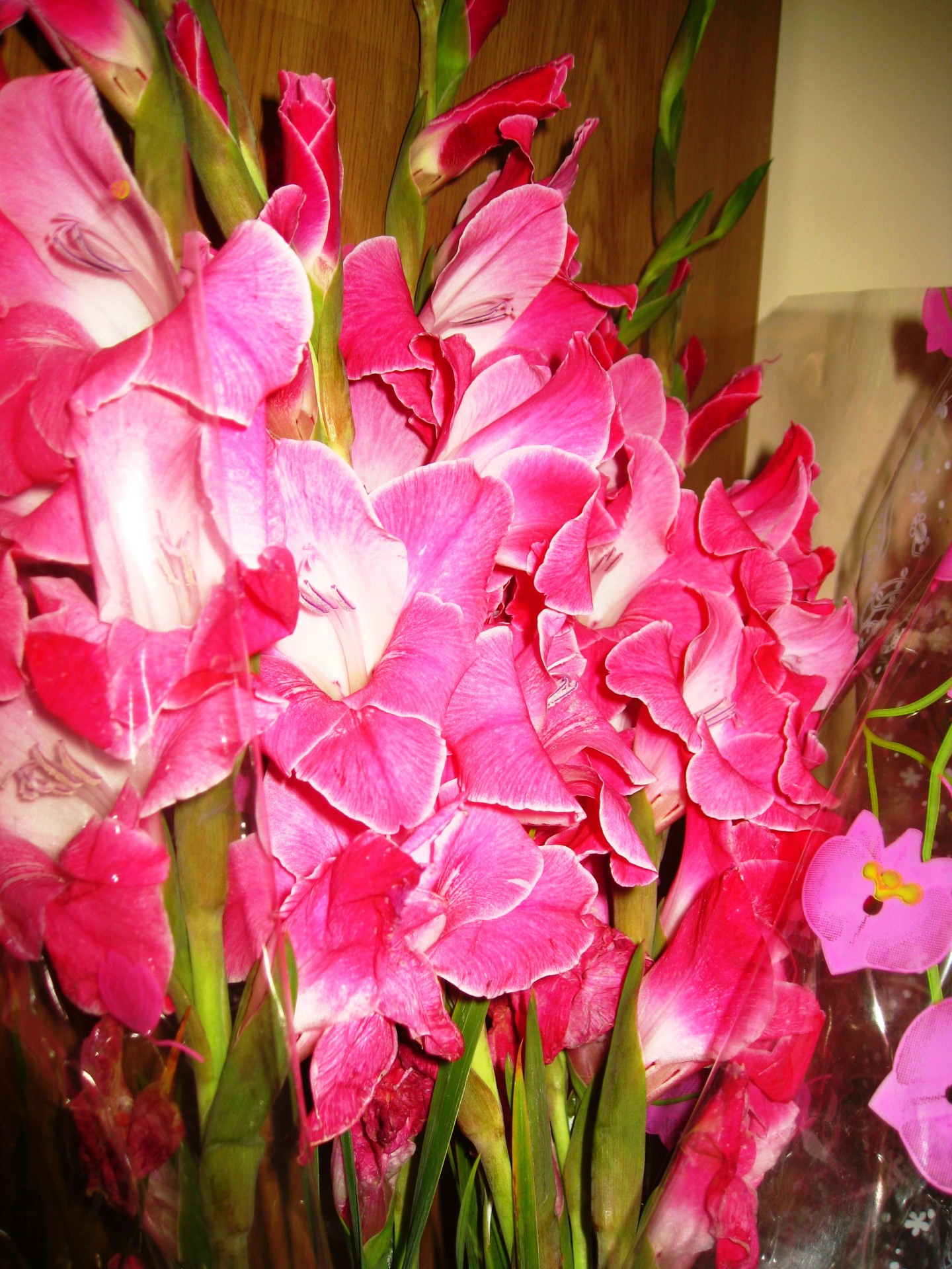 gladioluses flower bouquet free photo