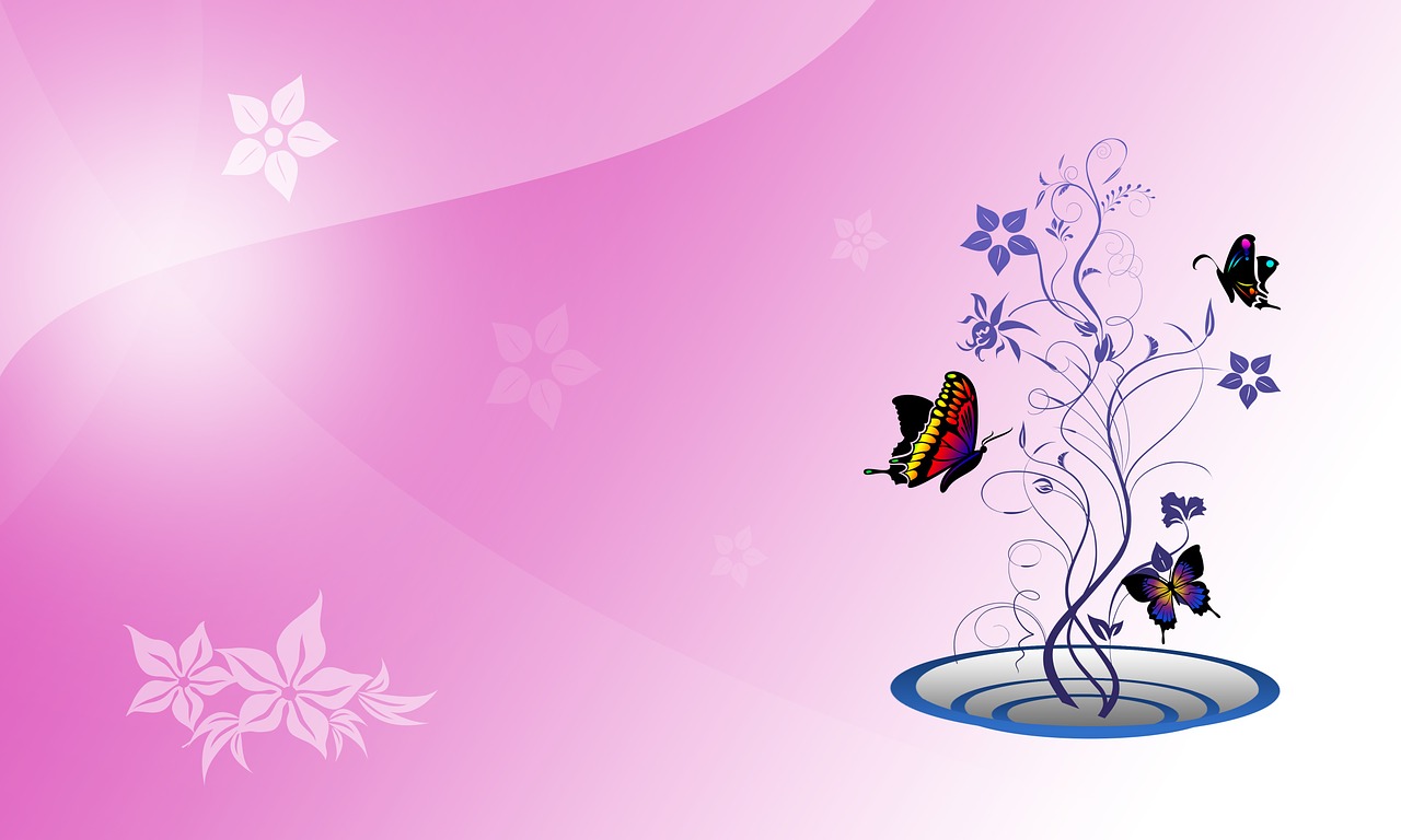 bouquets butterflies decorative free photo