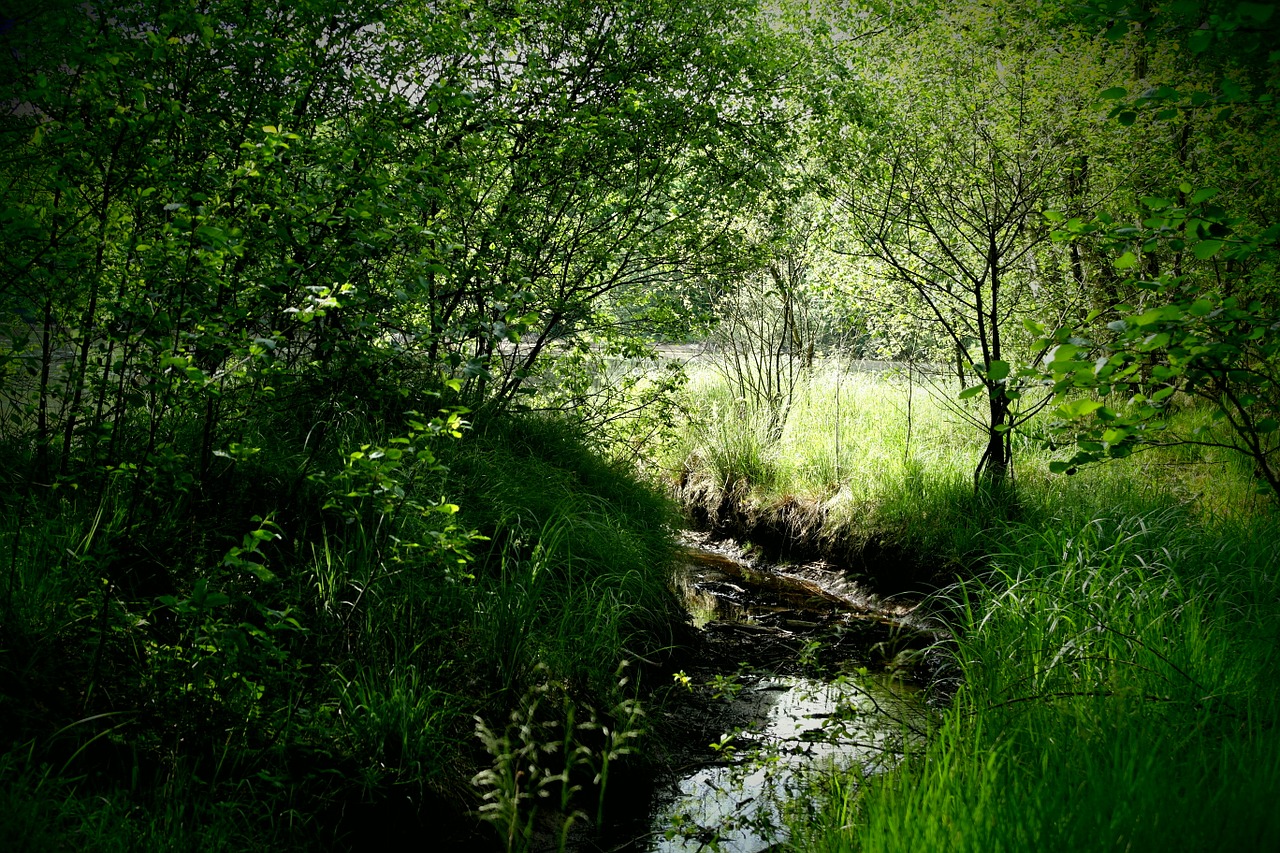 bourn green landscape free photo