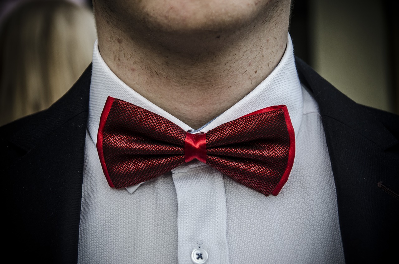 bow tie elegant free photo