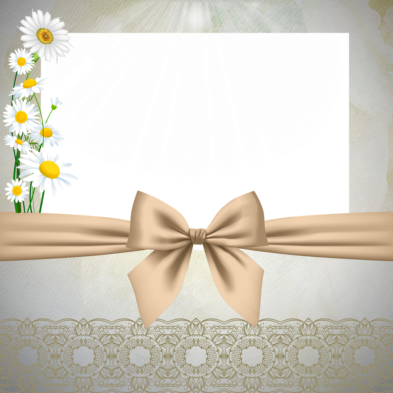 bow  beige  ribbon free photo