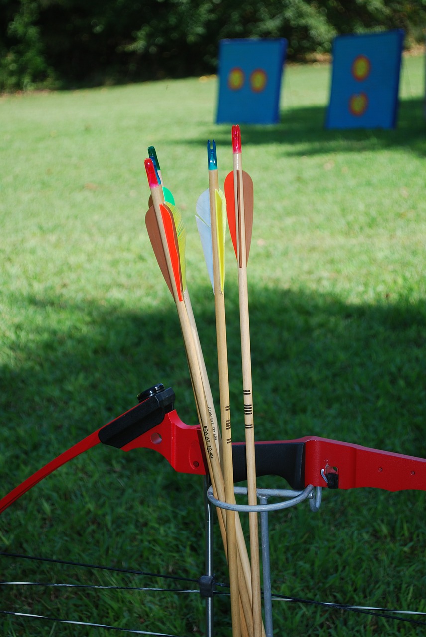 bow arrow archery free photo