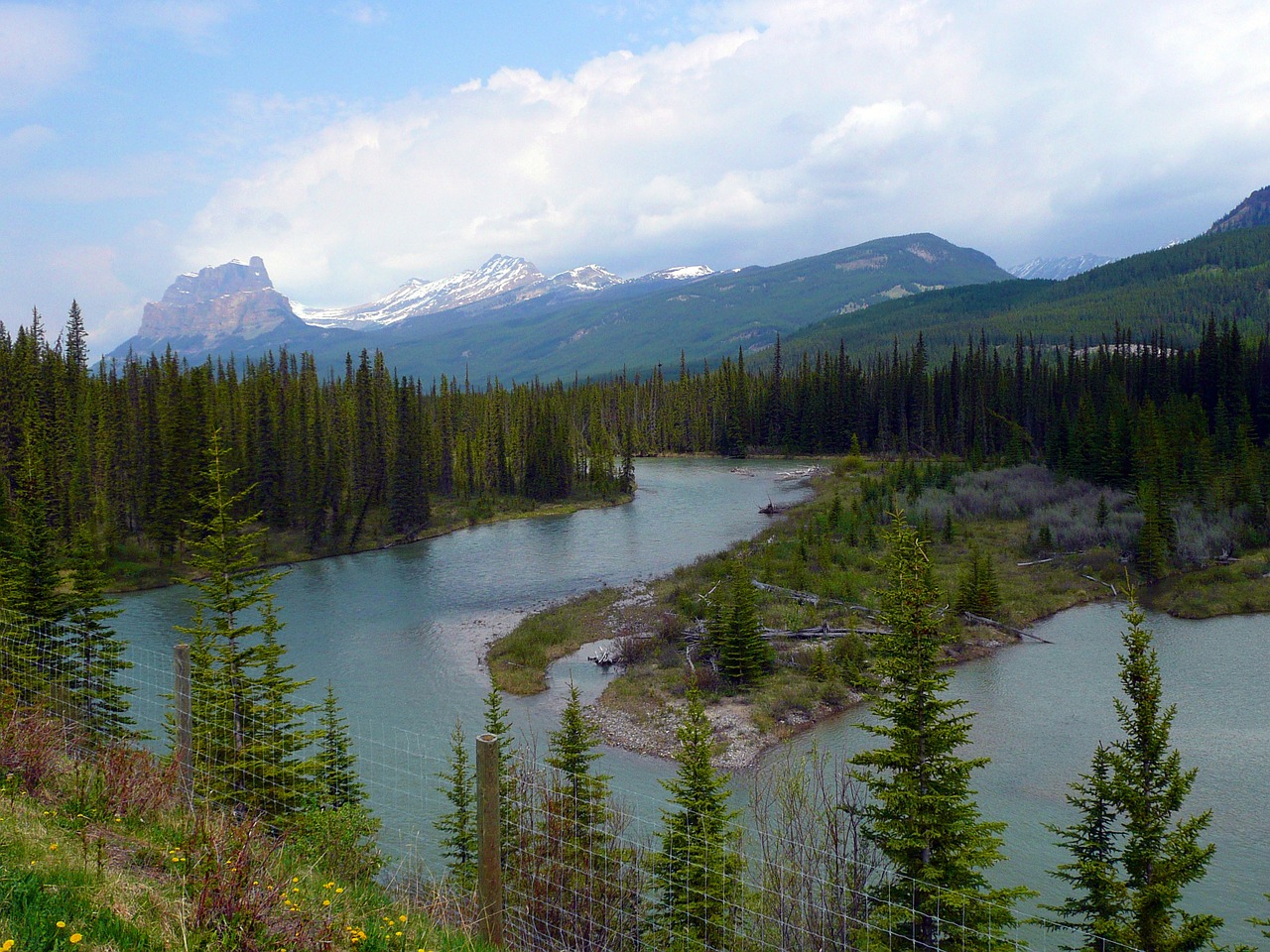 bow river canadien rockys mountains free photo