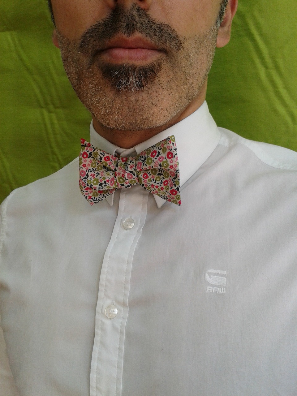 bow tie liberty cotton white shirt free photo