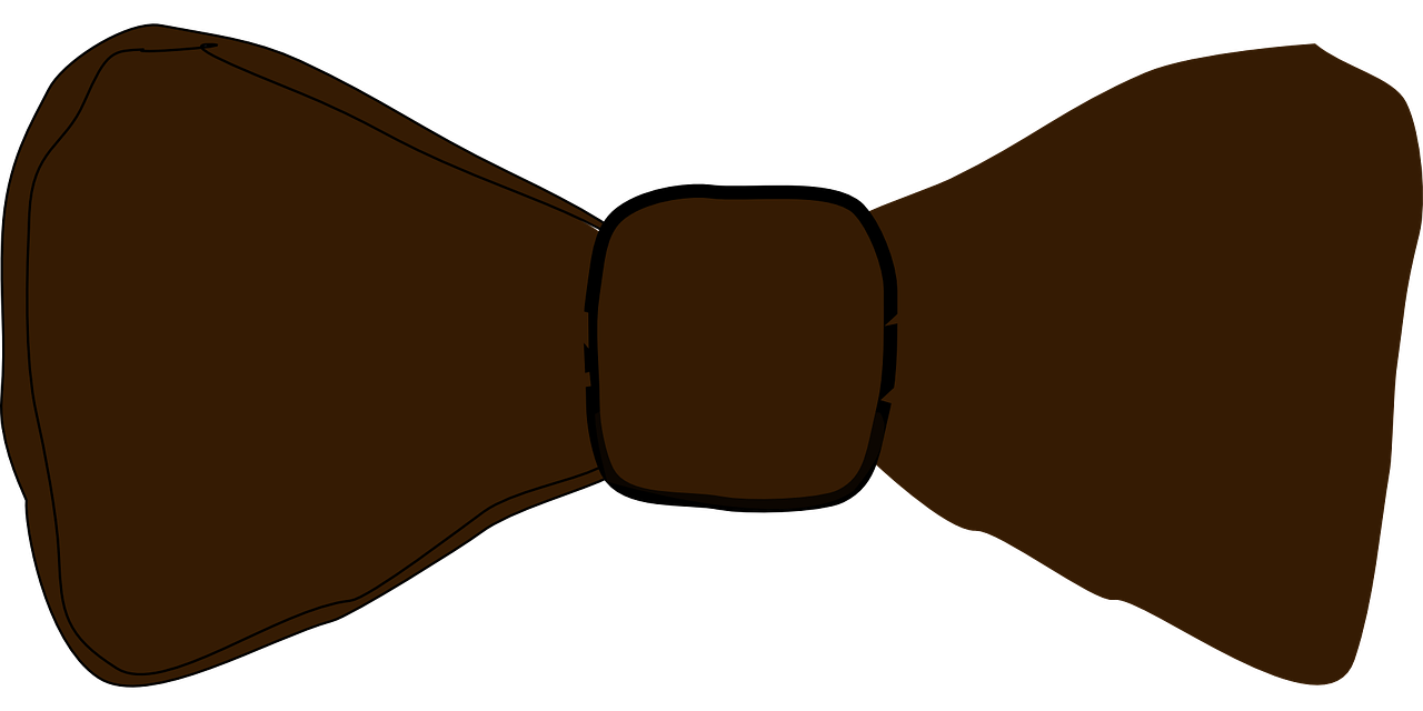bow-tie bow tie brown free photo