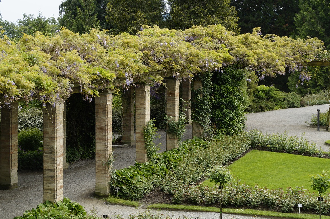 bower portico wisteria free photo